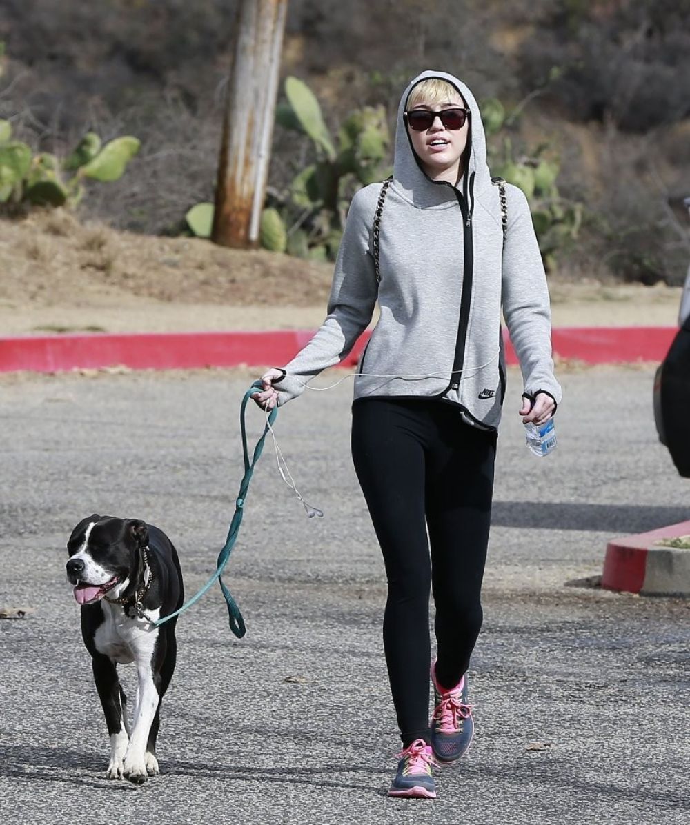 MILEY CYRUS Walking Her Dog Out in Beverly Hills – HawtCelebs