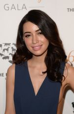 CHRISTIAN SERRATOS at Humane Society of the US 60th Anniversary Gala in Beverly Hills