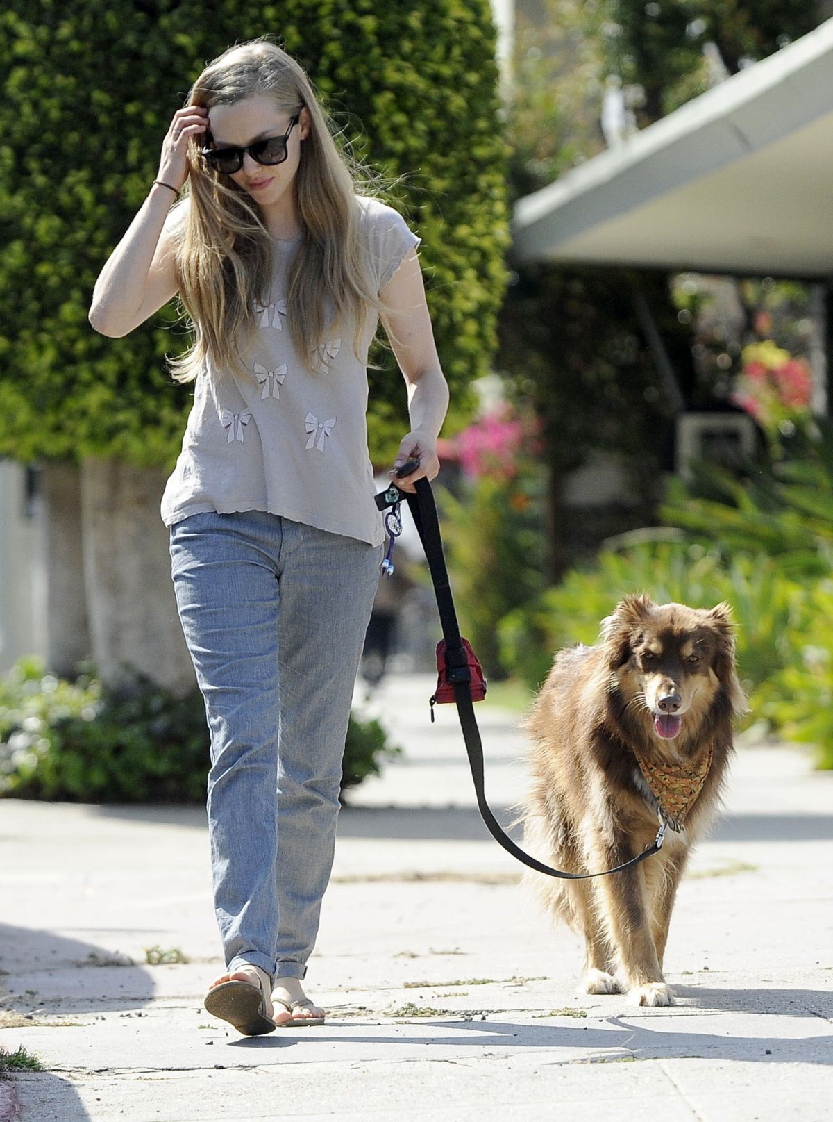 AMANDA SEYFRIED with Her Dog Out and About in Studio City – HawtCelebs