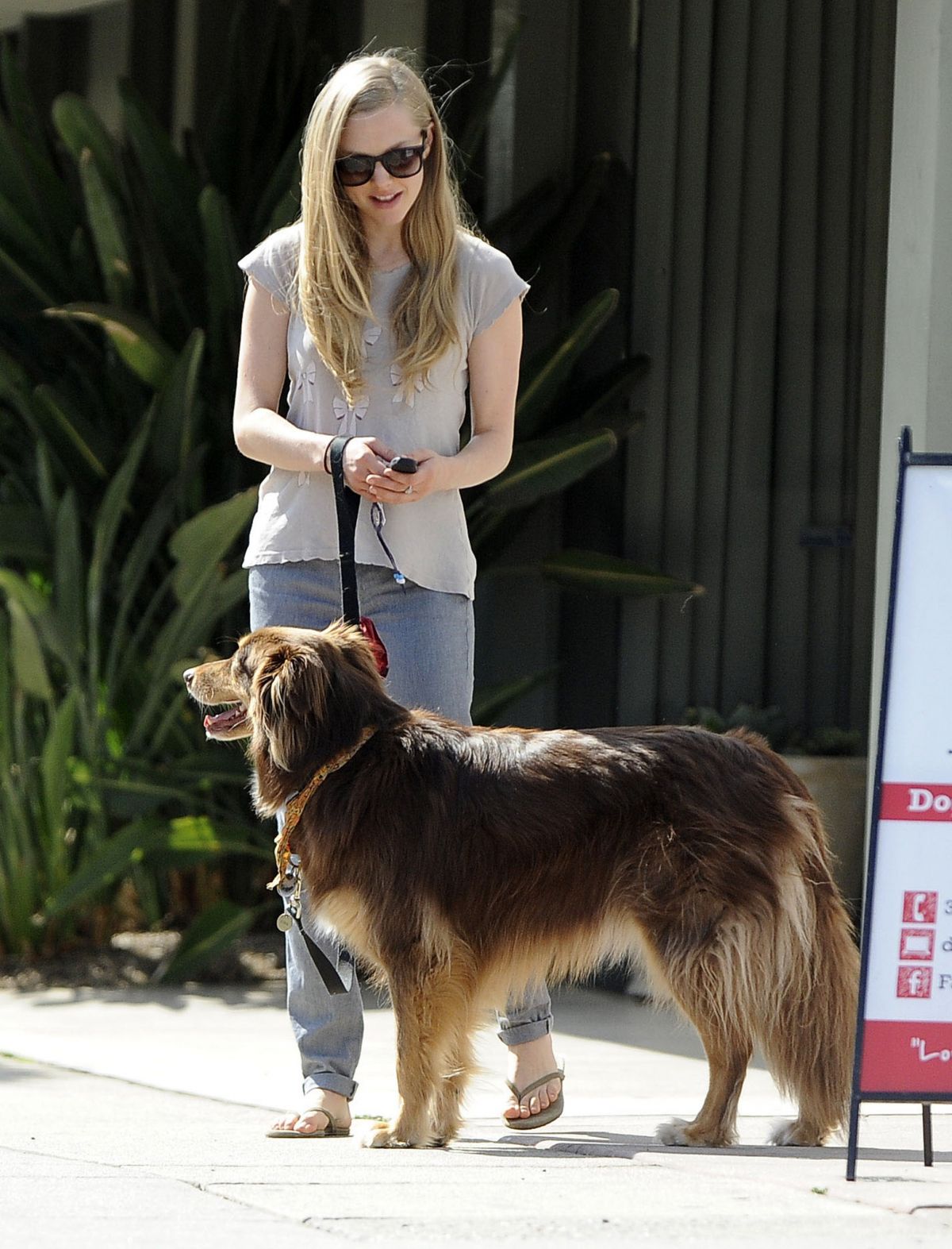 AMANDA SEYFRIED with Her Dog Out and About in Studio City – HawtCelebs