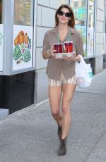 ASHLEY GREENE in Shorts Out and About in New York 1806