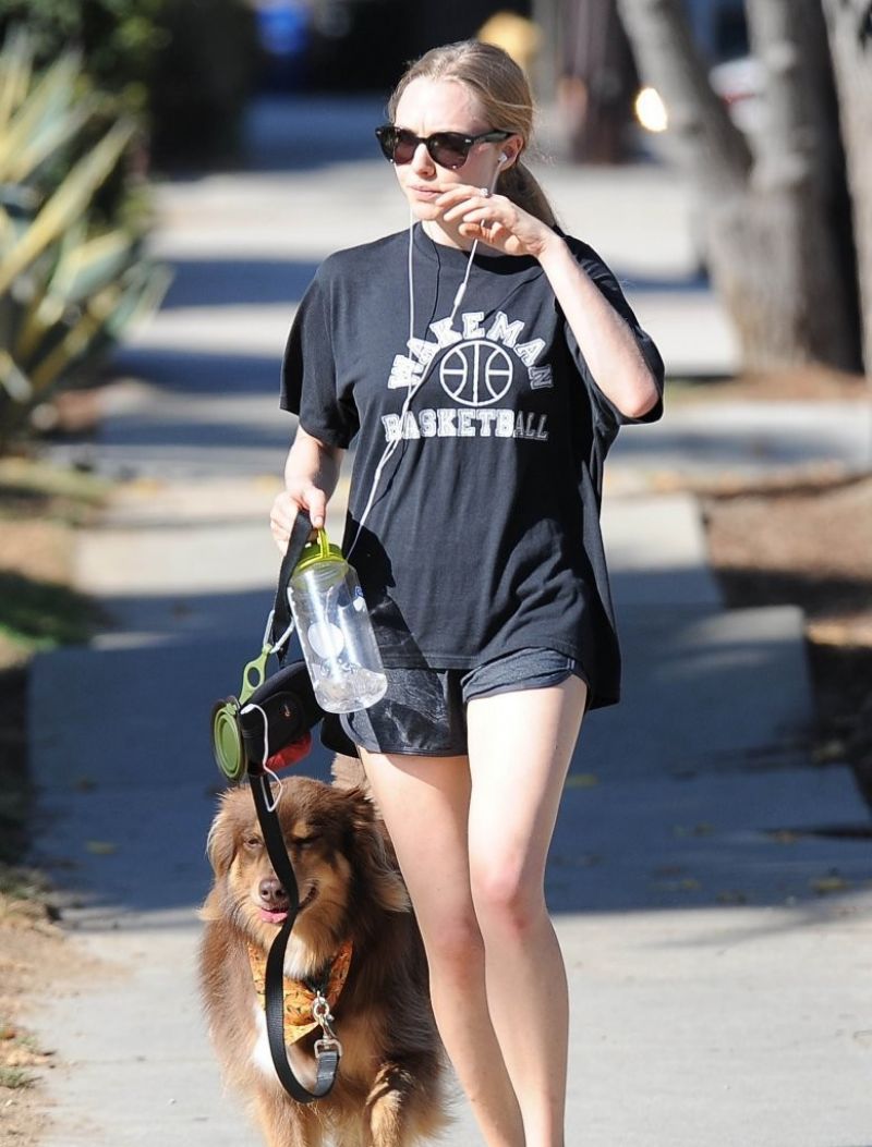 AMANDA SEYFRIED in Shorts with Her Dog Finn Out in West Hollywood ...