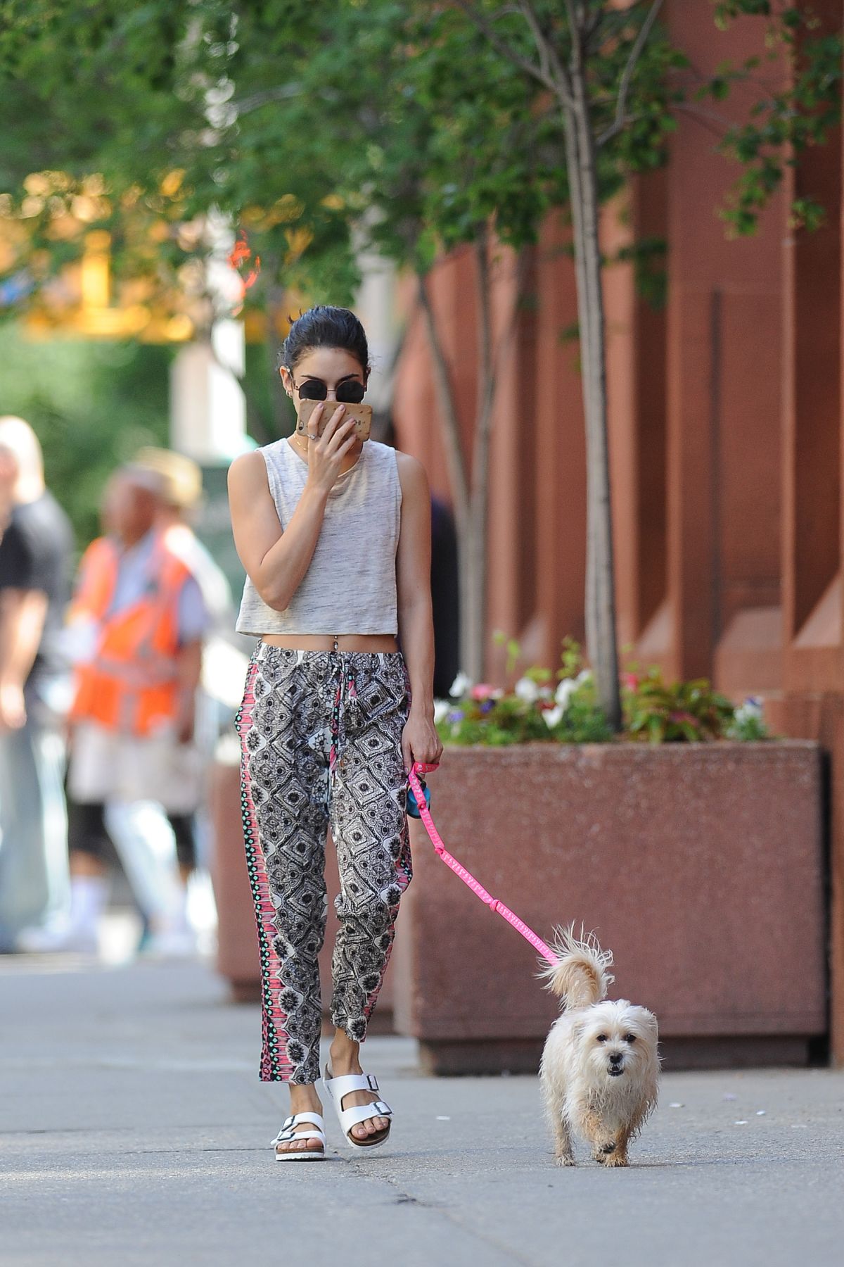 VANESSA HUDGENS Walks Her Dog Out in New York 05/30/2015 – HawtCelebs