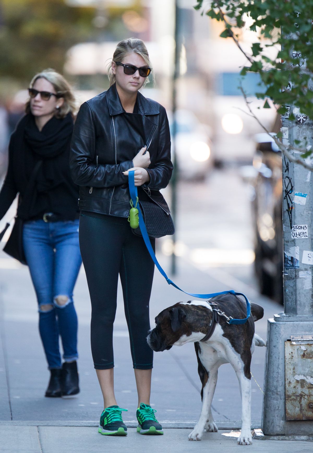 KATE UPTON Walks Her Dog in New York 10/30/2015 – HawtCelebs