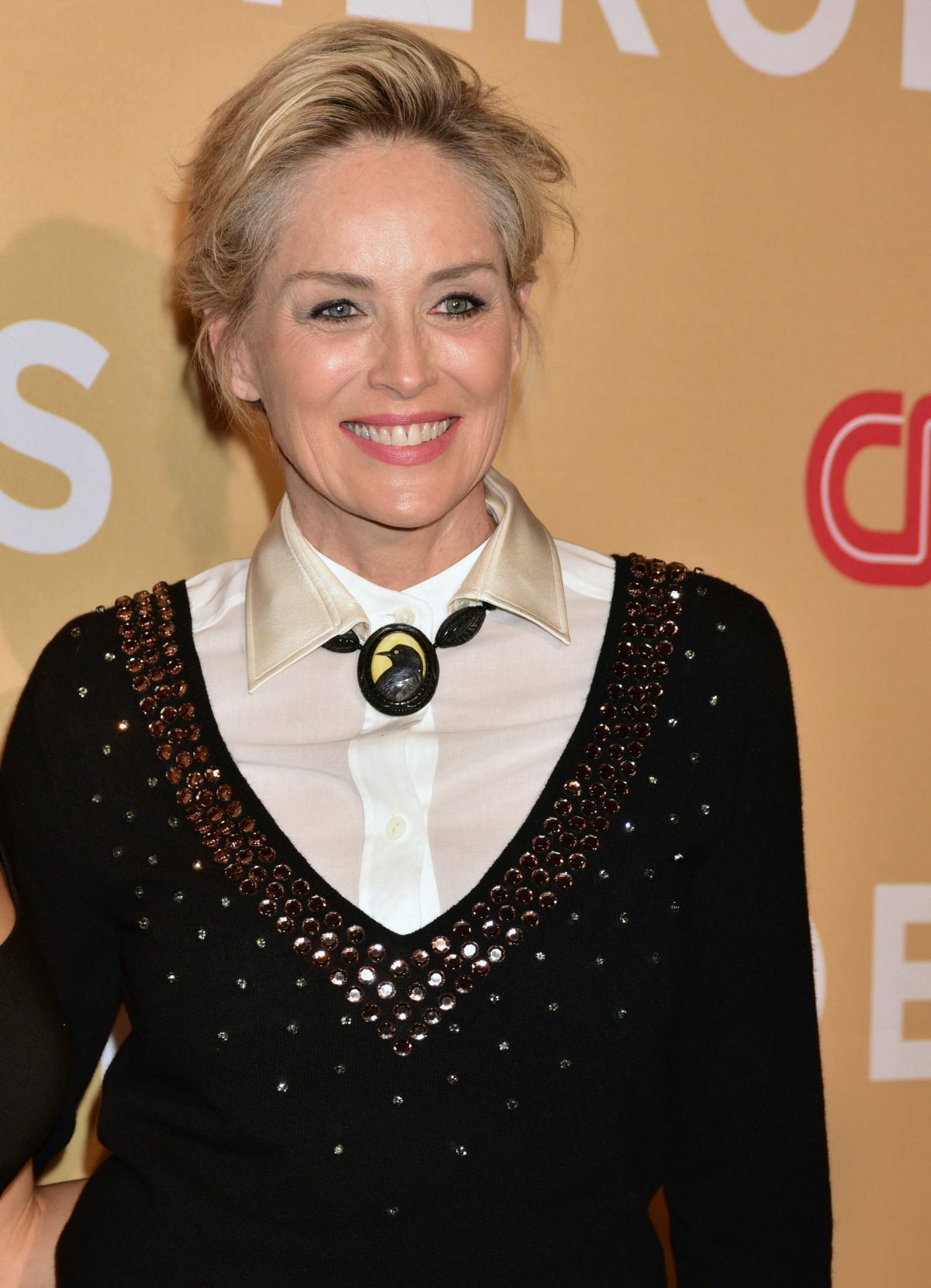 SHARON STONE at CNN Heroes 2015 in New York 11/17/2015 ...