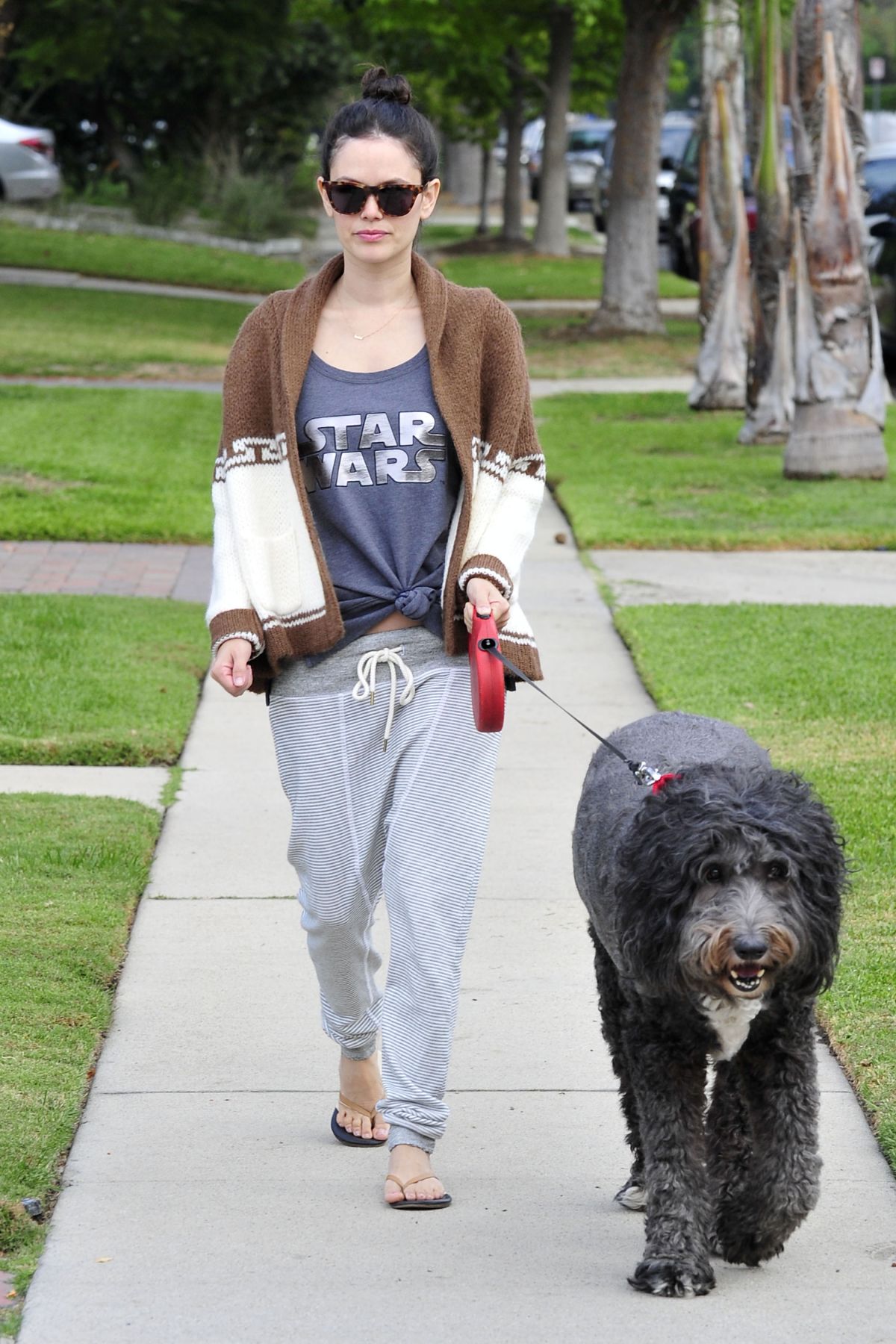 RACHEL BILSON Walks Her Dog Out in Los Angeles 11/30/2015 – HawtCelebs