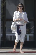 ALESSANDRA AMBROSIO Out Shopping in Los Angeles 03/26/2016