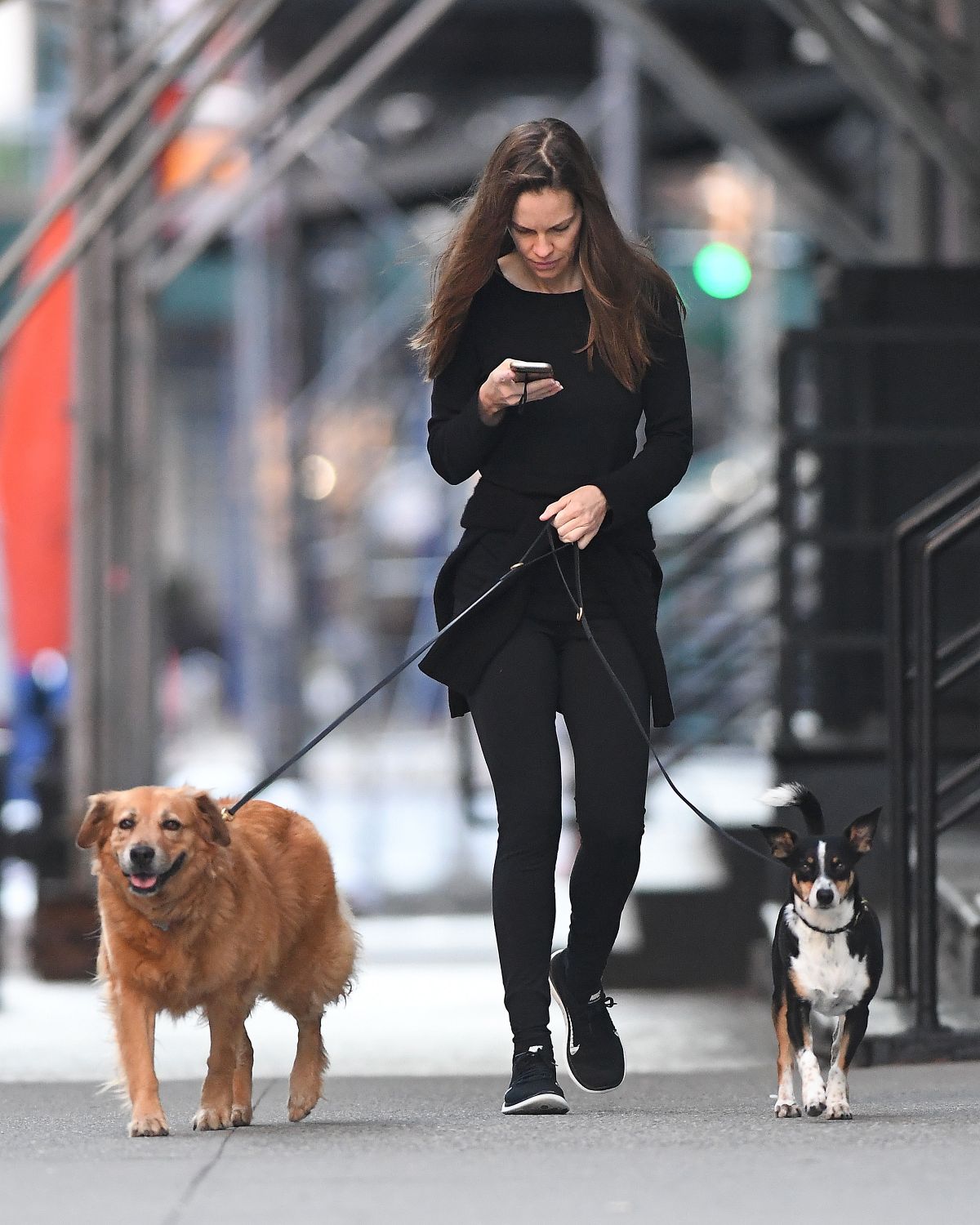 HILARY SWANK Walks Her Dogs Out in New York 06/18/2016 – HawtCelebs