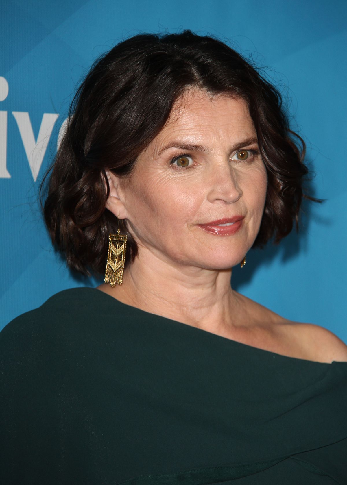 Julia Ormond At Nbc Universal Press Day At 2016 Summer Tca Tour In Beverly Hills 08 02 2016 13 
