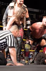 WWE - NXT Digitals 11/30/2016
