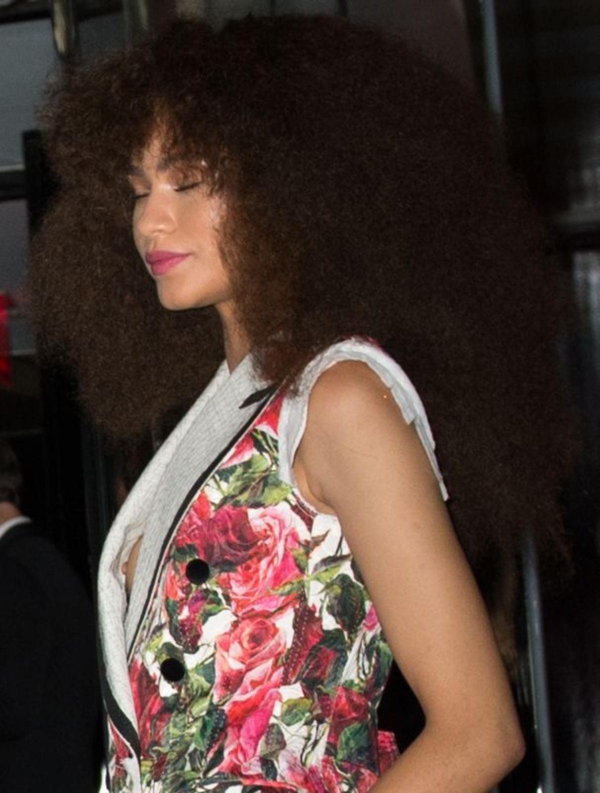 Zendaya nipple slip