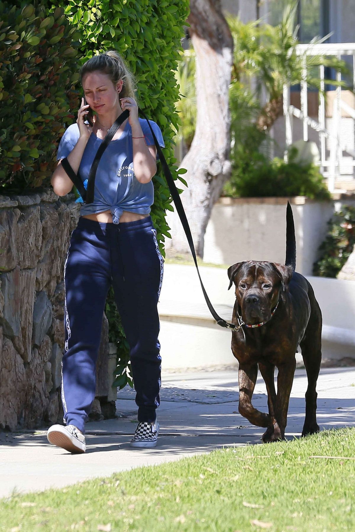 CORRINE OLYMPIOS Walks Her Dog Out in Los Angeles 06/15/2017 – HawtCelebs