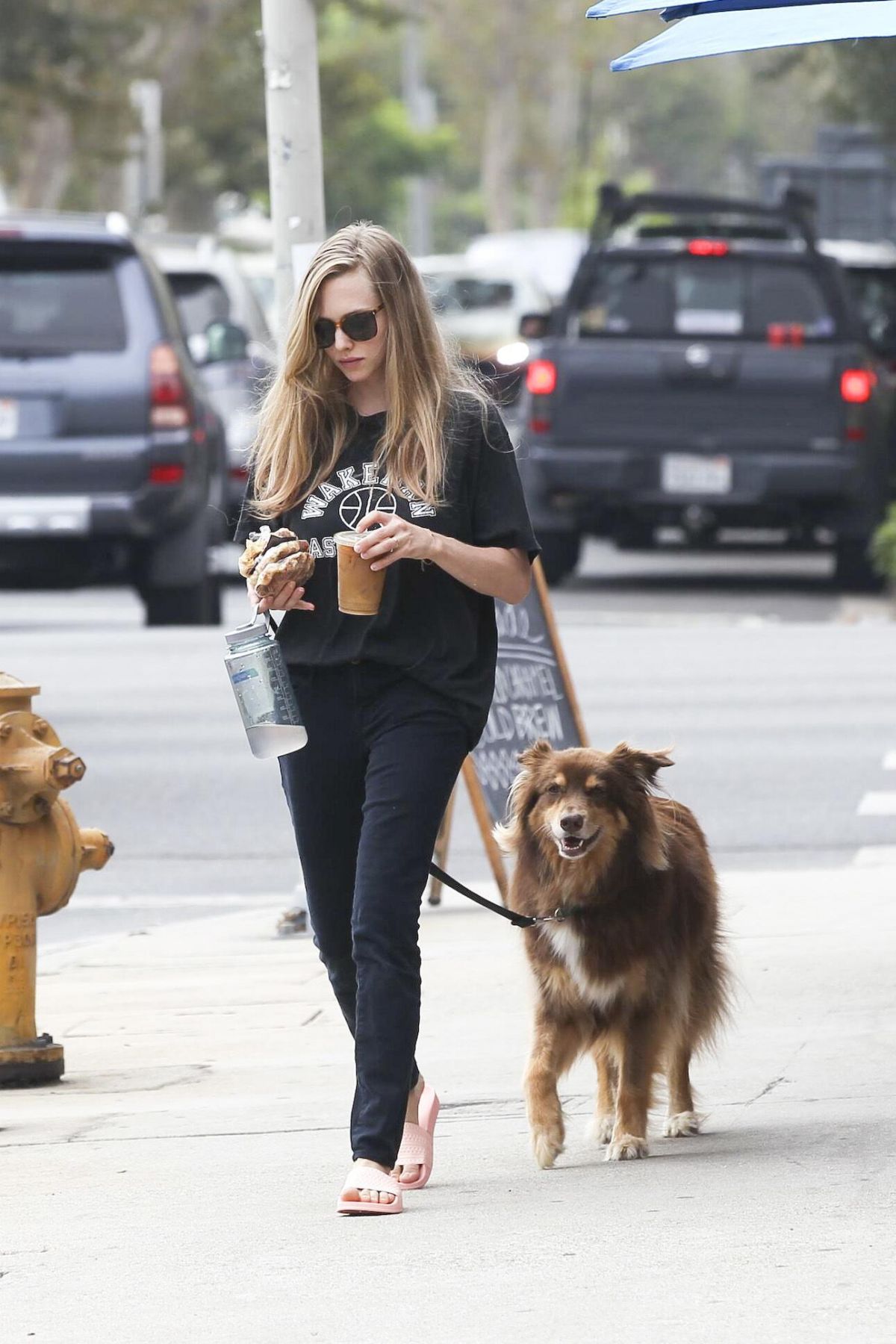 AMANDA SEYFRIED Out with Her Dog in Los Angeles 08/24/2017 – HawtCelebs
