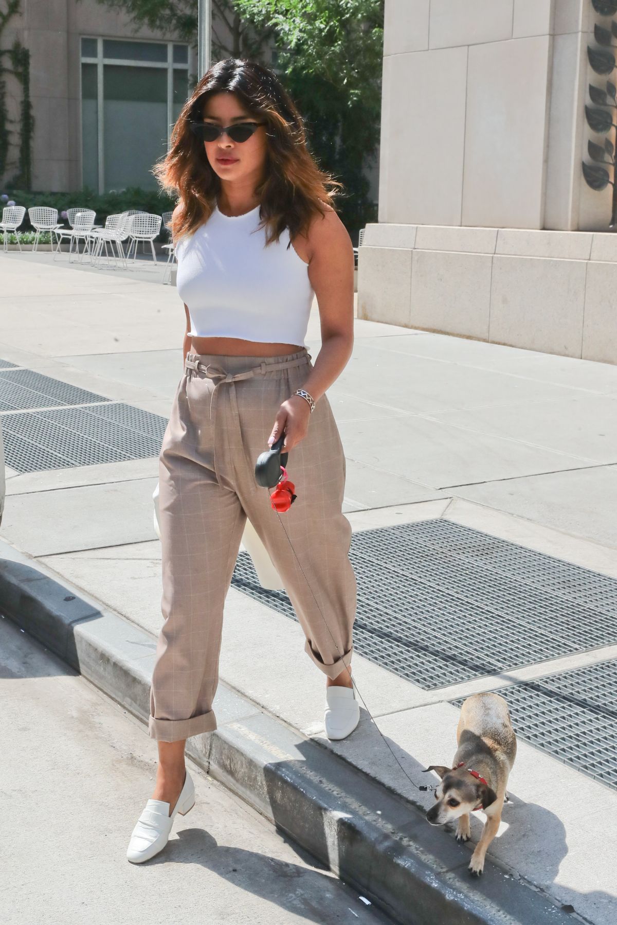 PRIYANKA CHOPRA Out with Her Dog in New York 07/14/2018 – HawtCelebs