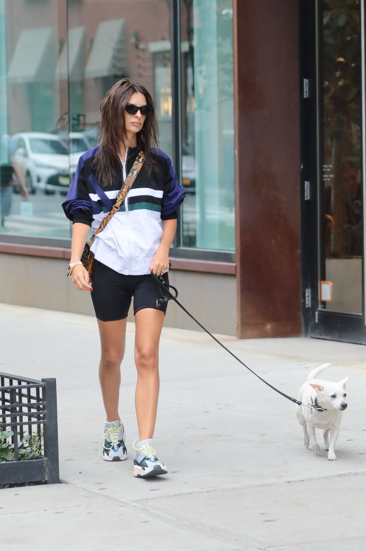EMILY RATAJKOWSKI Out with Her Dog in New York 09/01/2018 – HawtCelebs