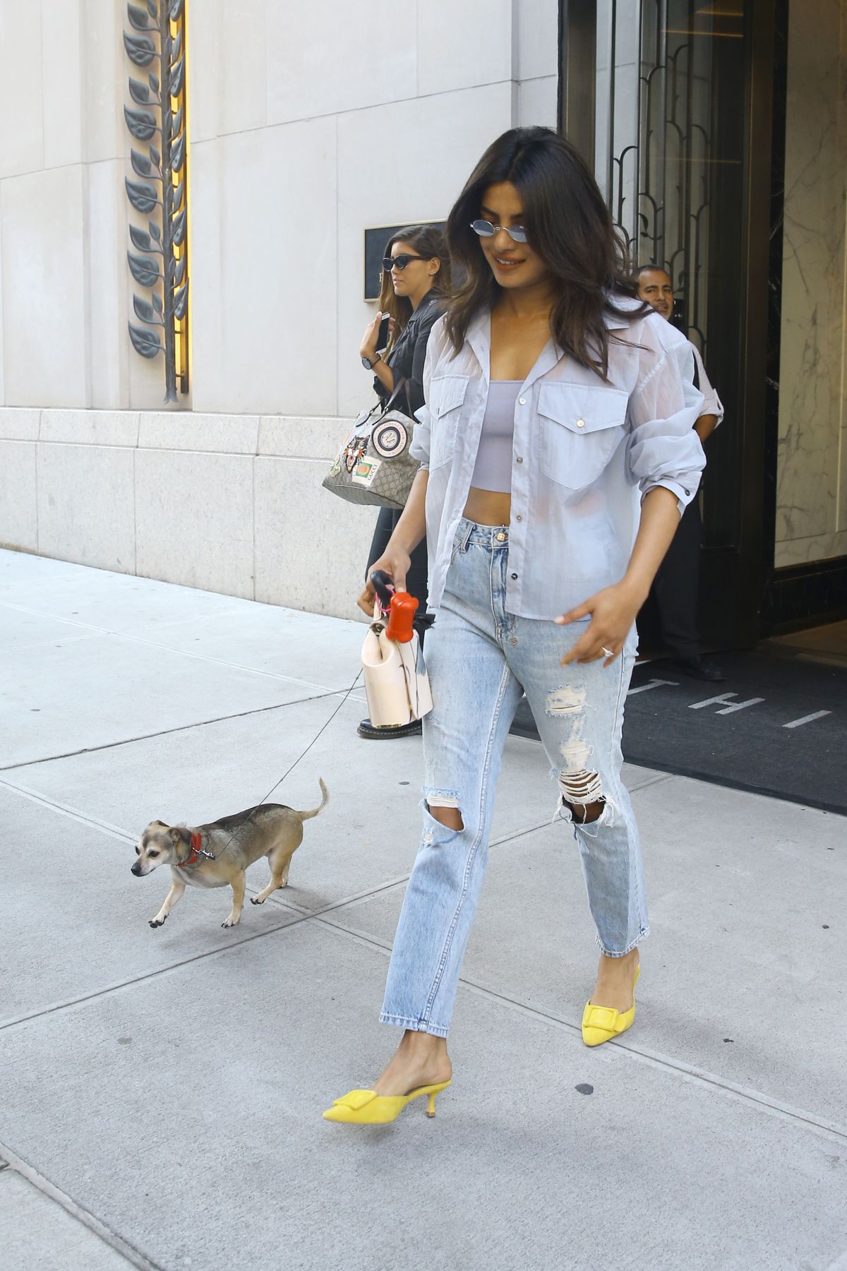 PRIYANKA CHOPRA Out with Her Dog in New York 09/05/2018 – HawtCelebs