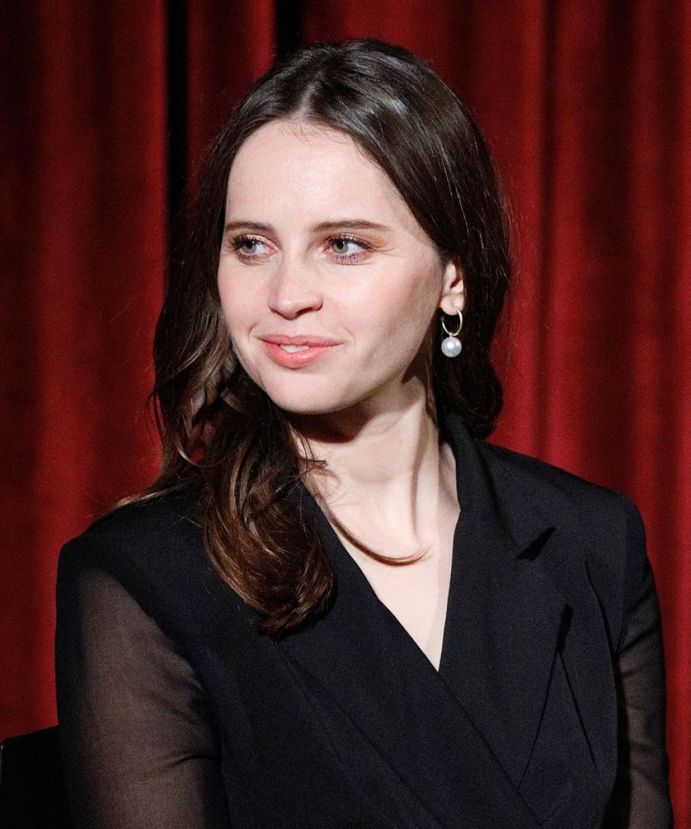 FELICITY JONES at On the Basis of Sex Academy Screening in New York 12 ...