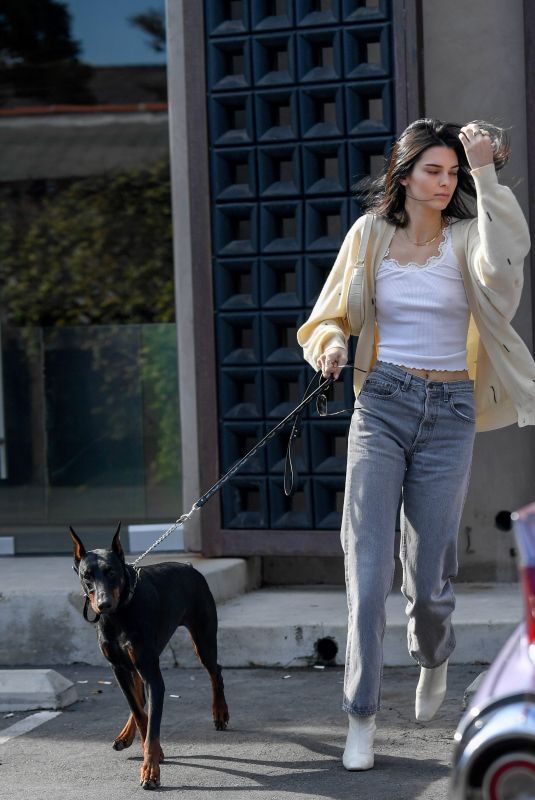 KENDALL JENNER Out with Her Dog in Los Angeles 12/16/2018