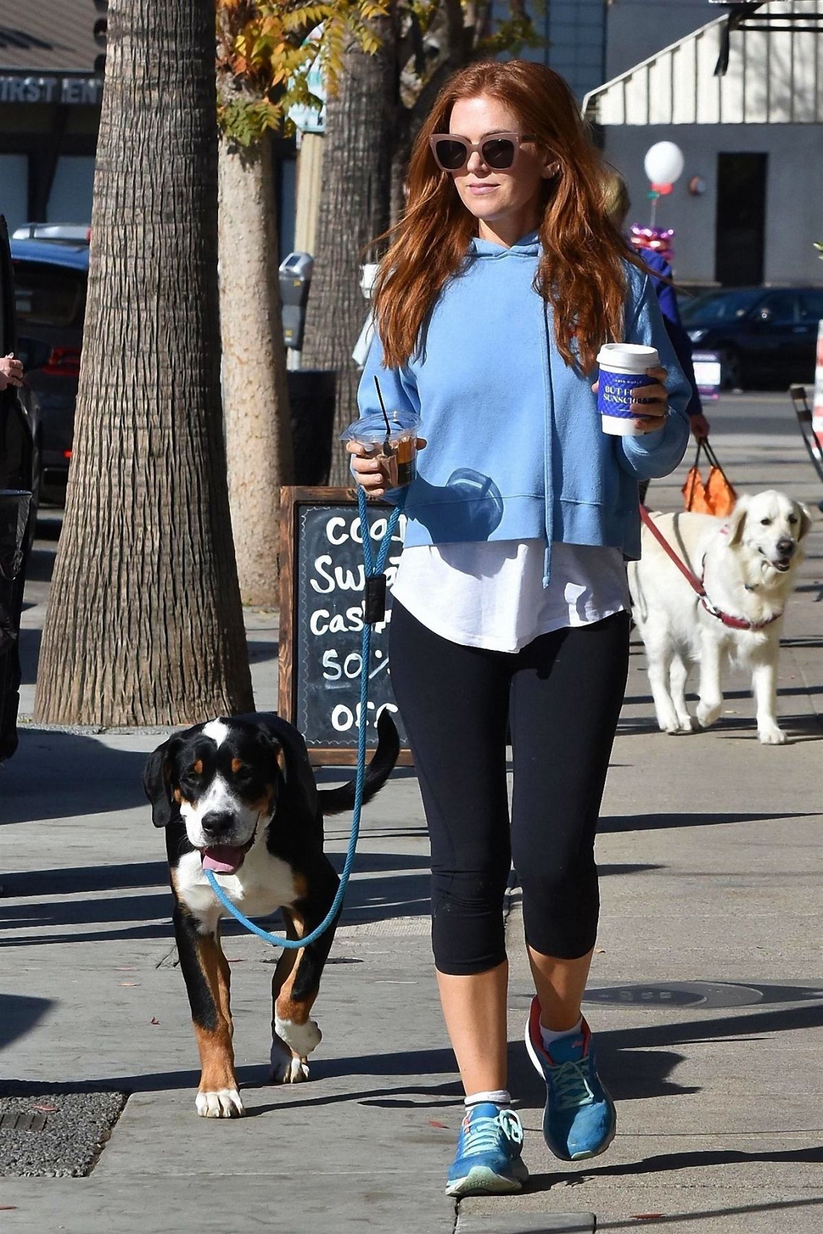 ISLA FISHER Out with Her Dog in Studio City 01/09/2019 – HawtCelebs