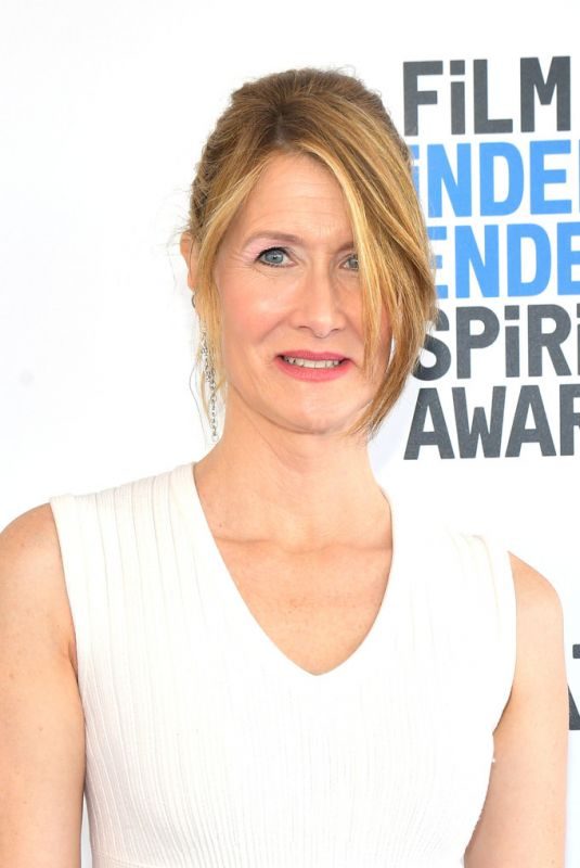 LAURA DERN at Film Independent Spirit Awards in Santa Monica 02/23/2019