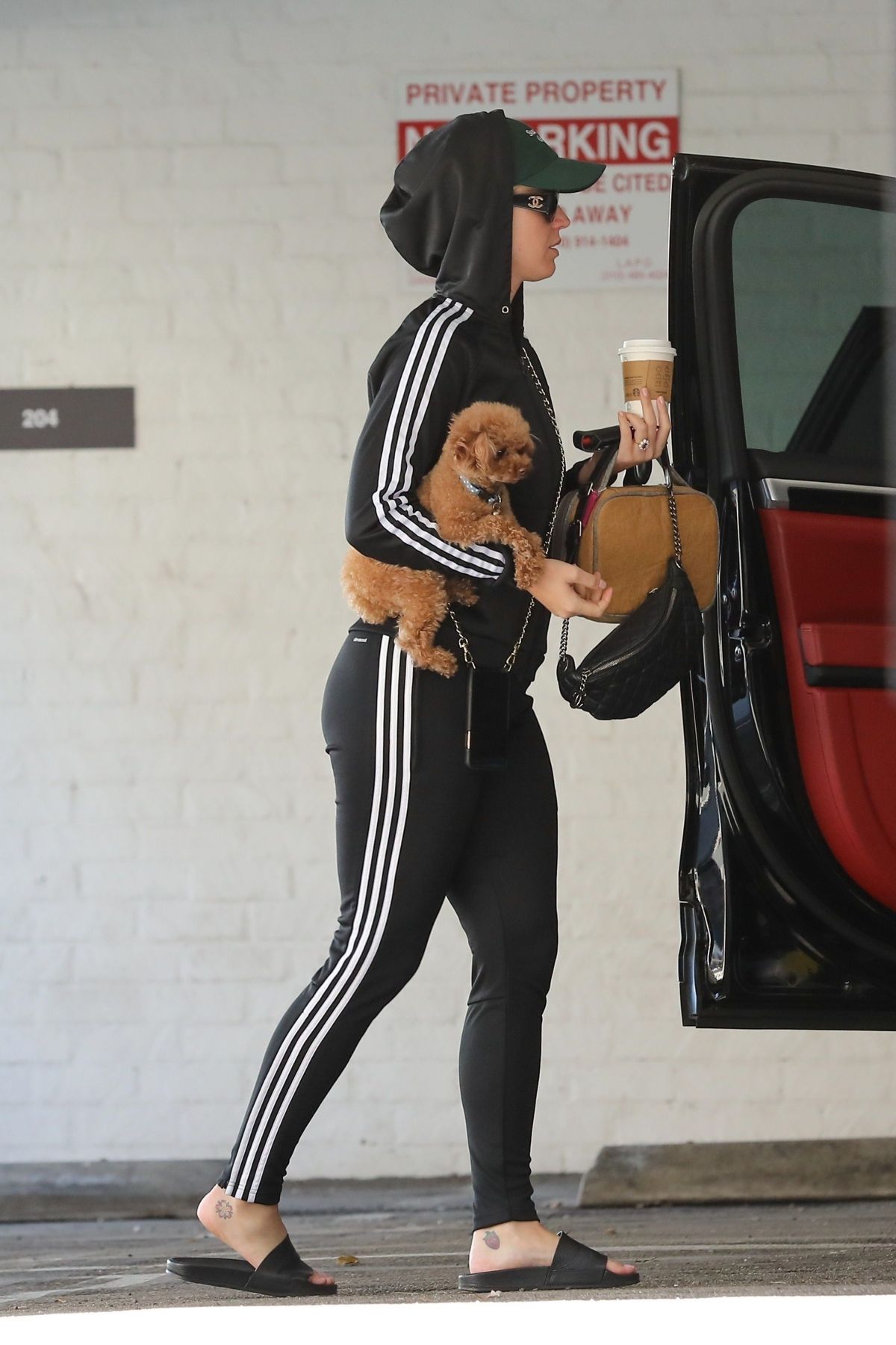 KATY PERRY Out with her Dog in Beverly Hills 03/03/2019 – HawtCelebs