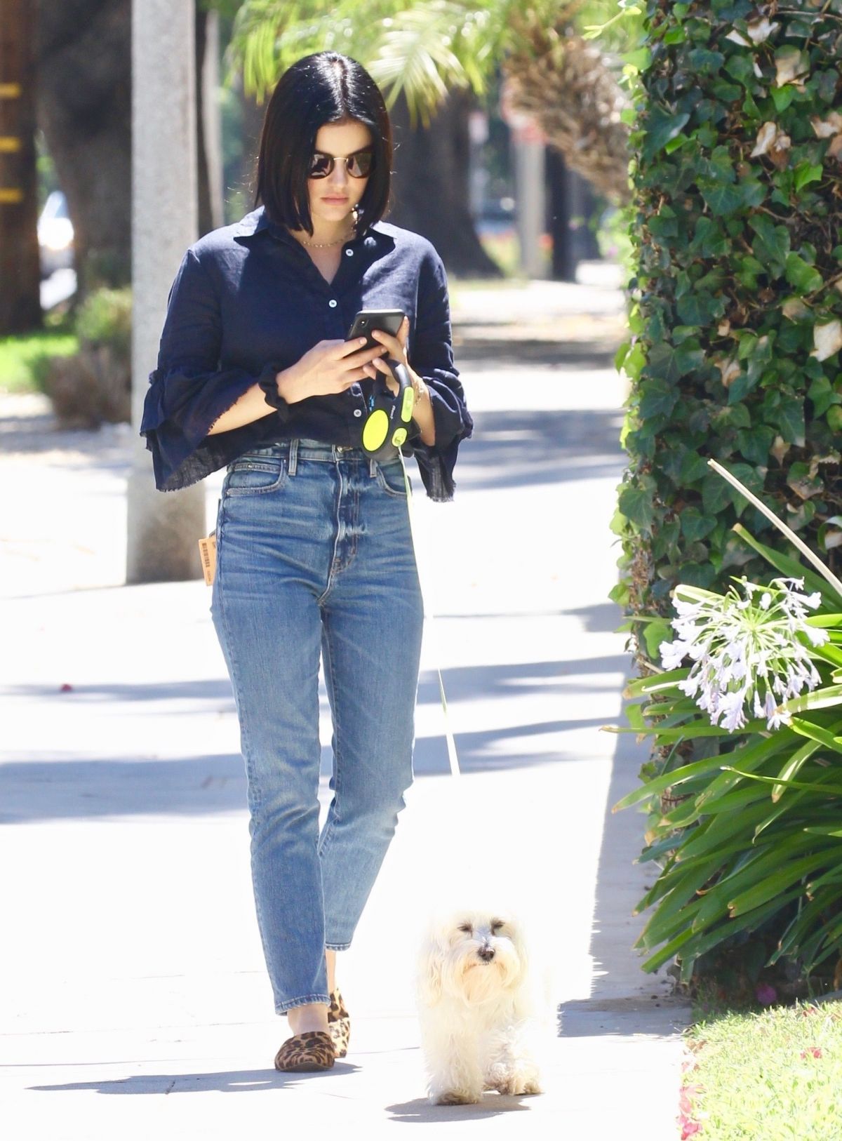 LUCY HALE Out With Her Dog Elvis in Studio City 07/27/2019 – HawtCelebs