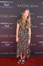 AMANDA SEYFRIED at The Dog Premiere of The Art of Racing in the Rain in Los Angeles 08/01/2019