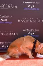 AMANDA SEYFRIED at The Dog Premiere of The Art of Racing in the Rain in Los Angeles 08/01/2019
