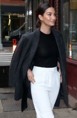 LILY ALDRIDGE Arrives at a Business Meeting in New York 12/11/2019