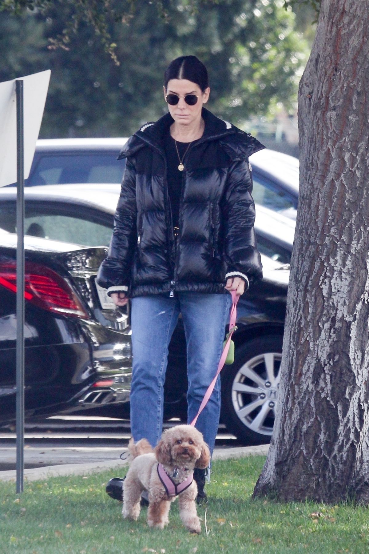 SANDRA BULLOCK Out with Her Dog in Van Nuys 03/01/2020 – HawtCelebs