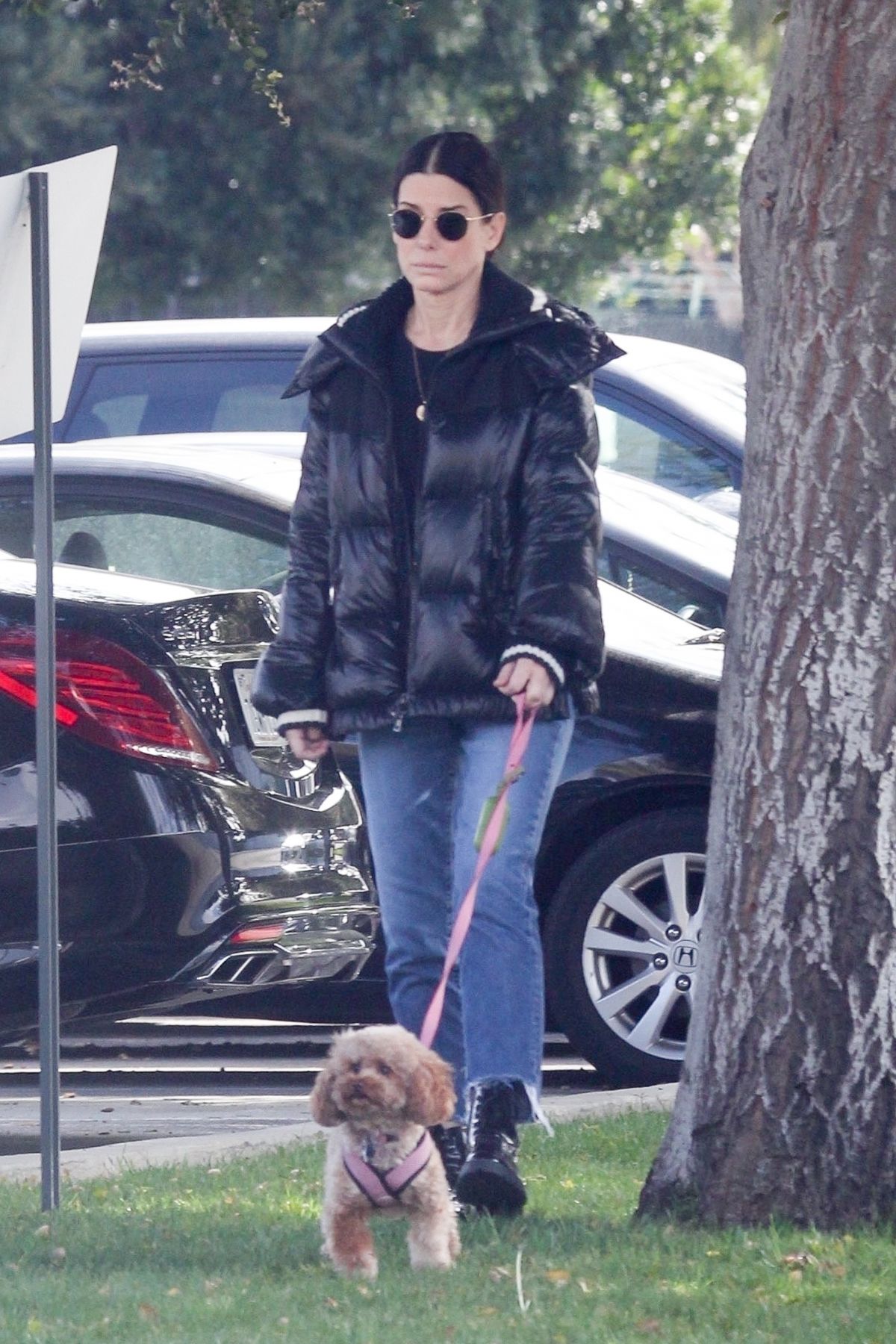 SANDRA BULLOCK Out with Her Dog in Van Nuys 03/01/2020 – HawtCelebs