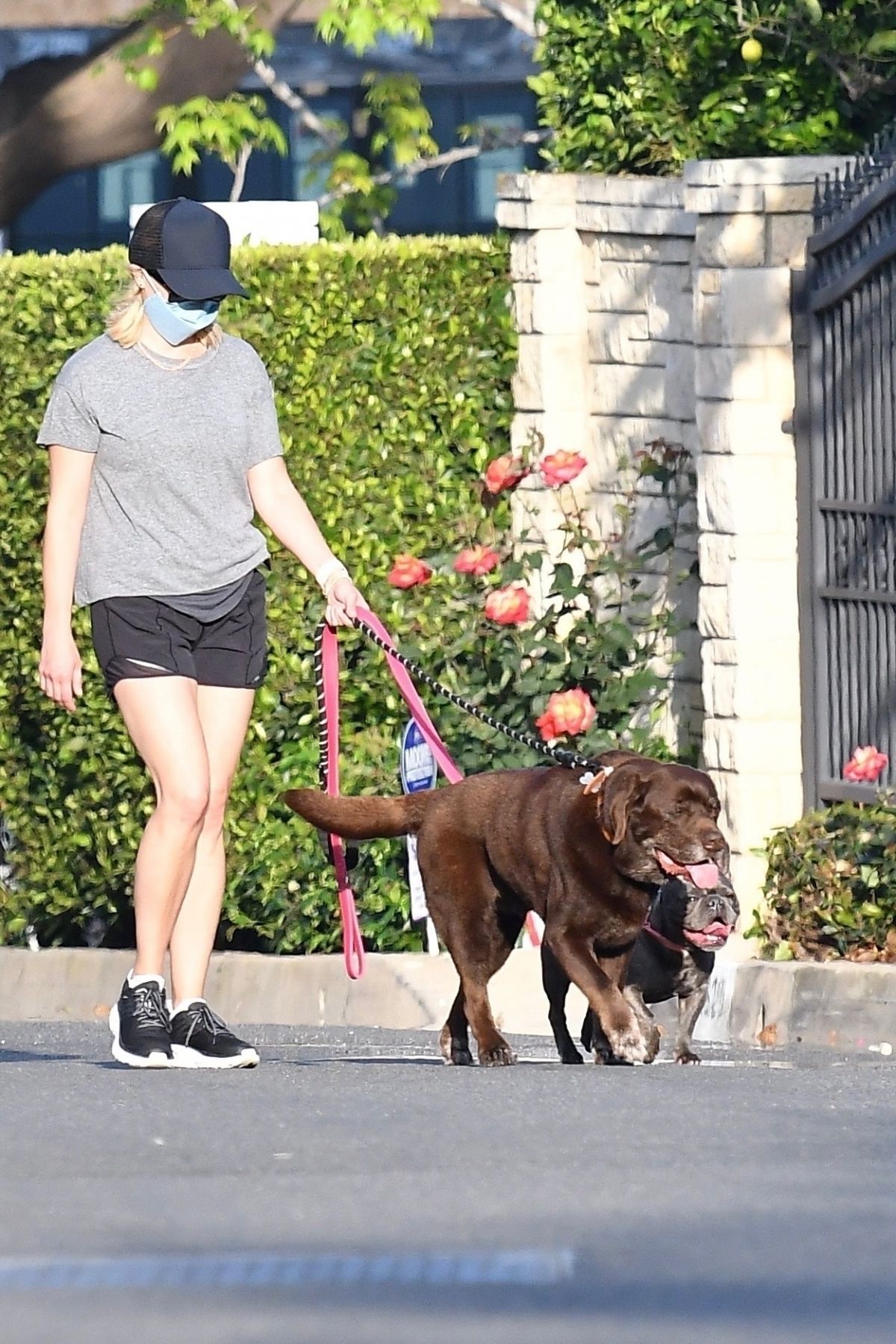 REESE WITHERSPOON Out with Her Dog in Brentwood 04/27/2020 – HawtCelebs