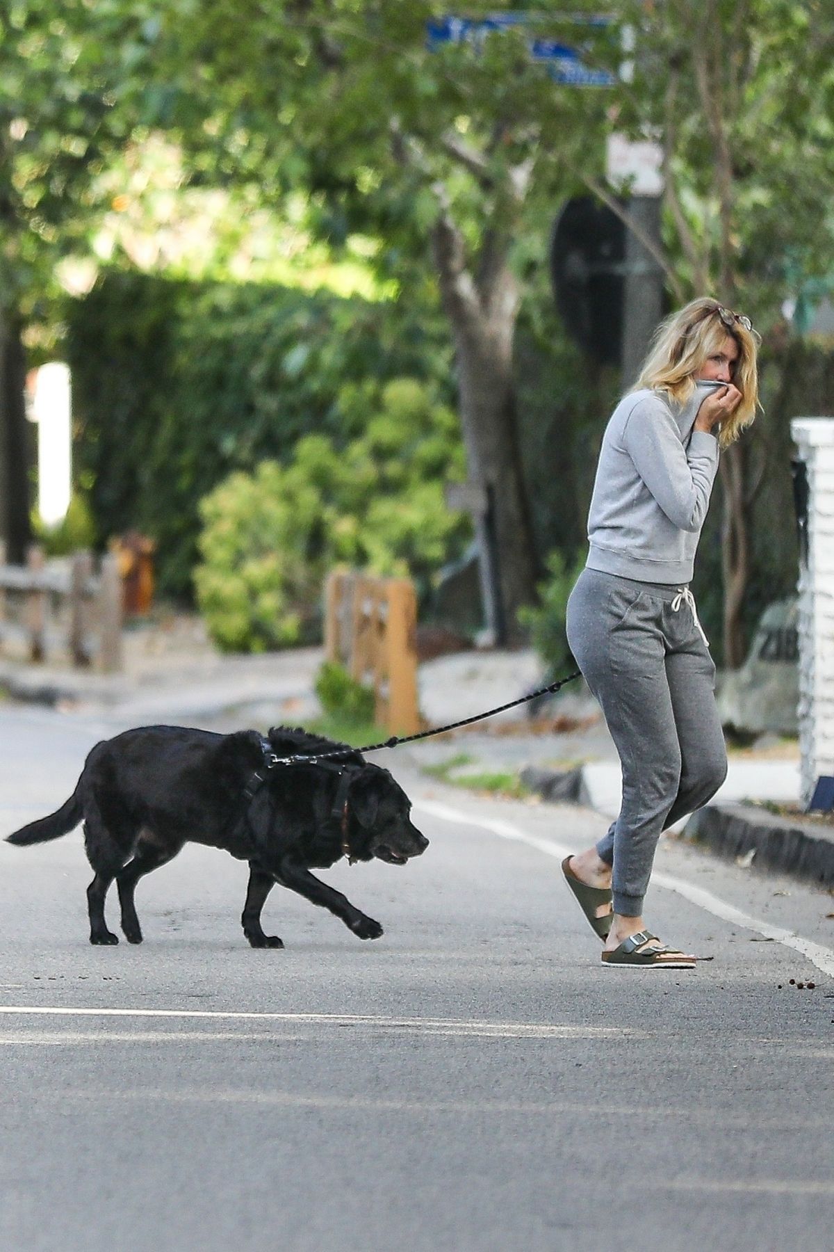 LAURA DERN Out with Her Dog in Pacific Palisades 05/518/2020 – HawtCelebs