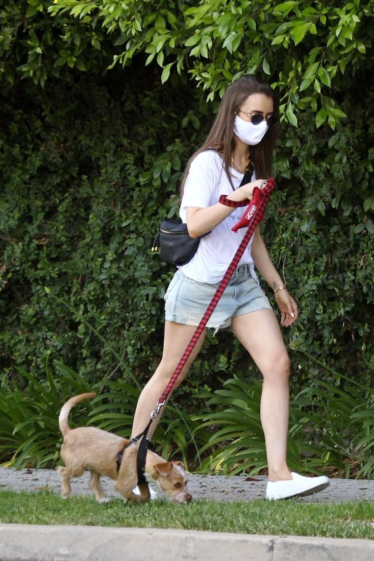 LILY COLLINS in Denim Shorts Out with Her Dog in Beverly Hills 05/08 ...