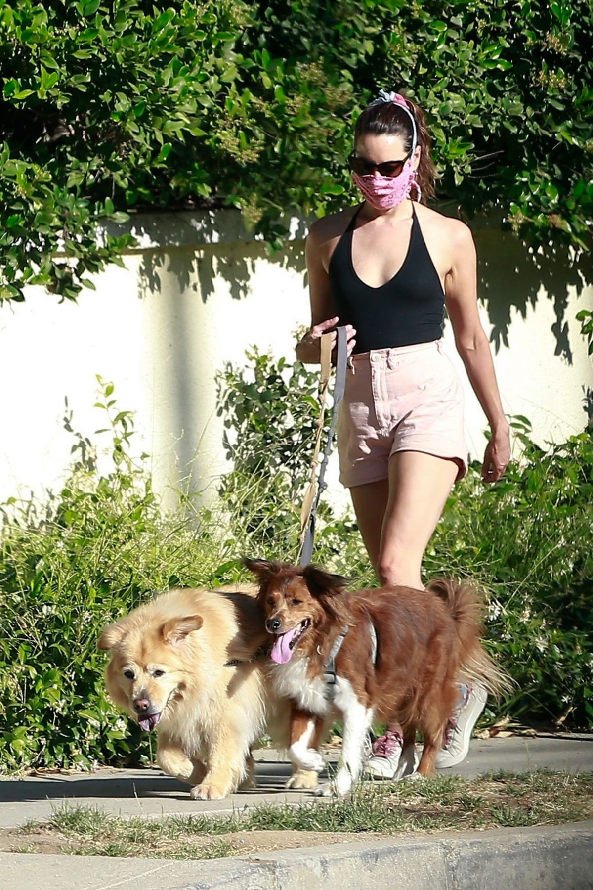 AUBREY PLAZA Walks Her Dogs Out in Los Feliz 06/10/2020 – HawtCelebs