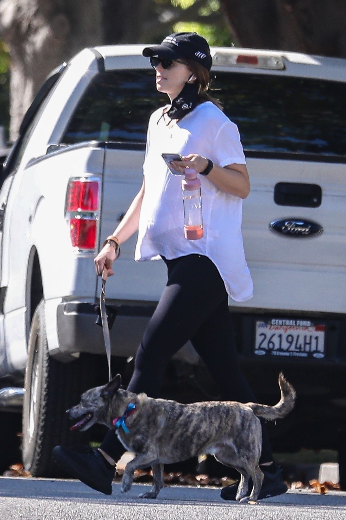 Pregnant KATHERINE SCHWARZENEGGER Out with Her Dog in Santa Monica 07 ...
