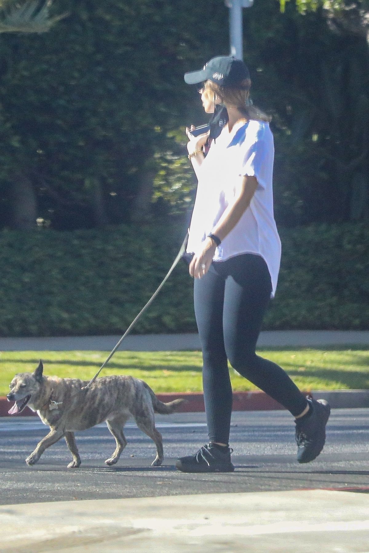 Pregnant KATHERINE SCHWARZENEGGER Out with Her Dogs in Los Angeles 07 ...