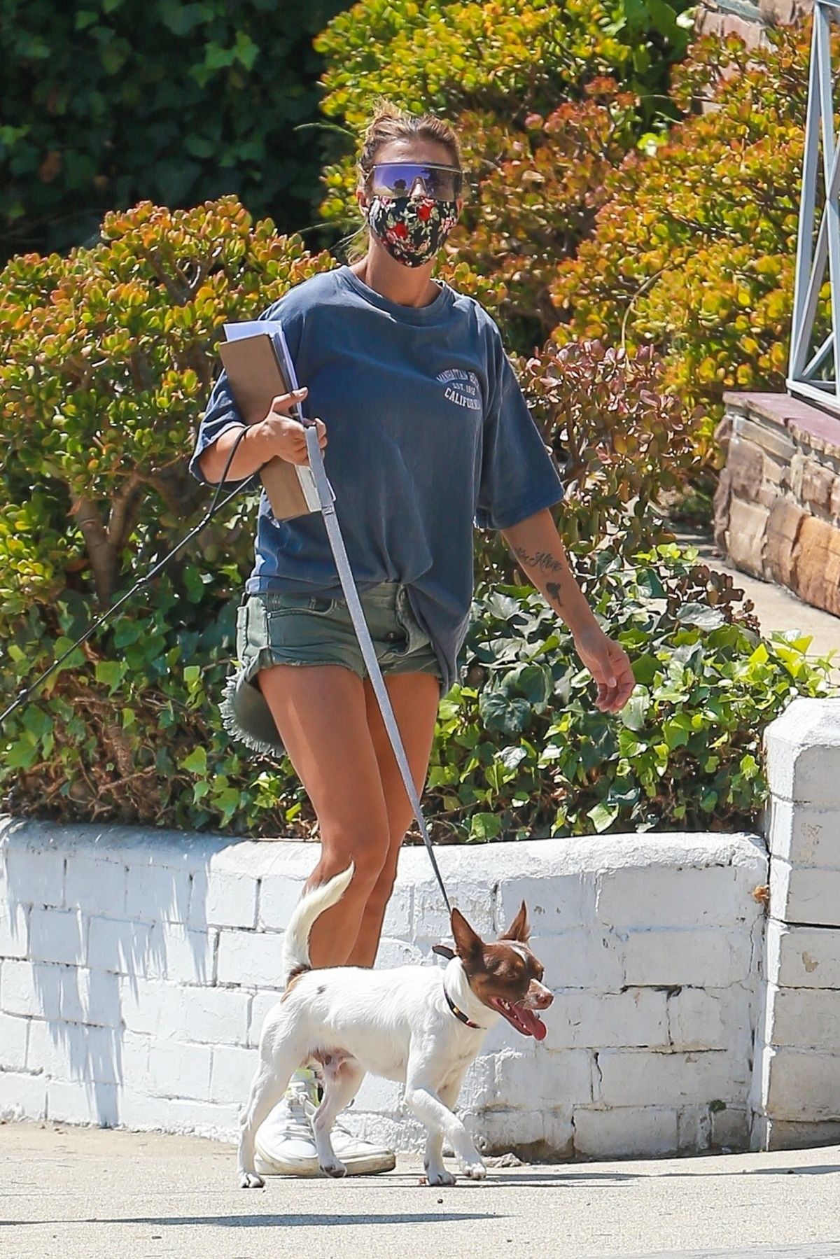 ELISABETTA CANALIS in Denim Shorts Out with Her Dogs in Beverly Hills ...