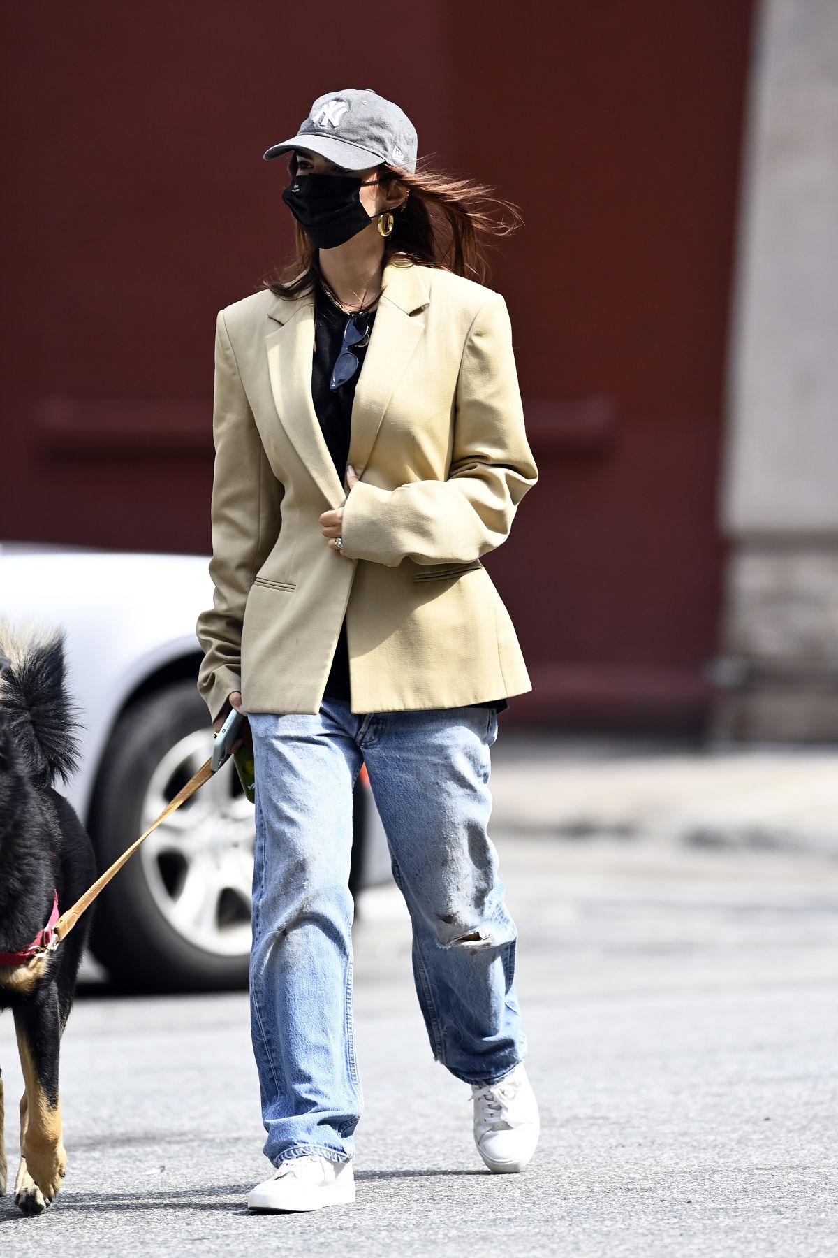 EMILY RATAJKOWSKI Out with Her Dog in New York 09/18/2020 – HawtCelebs