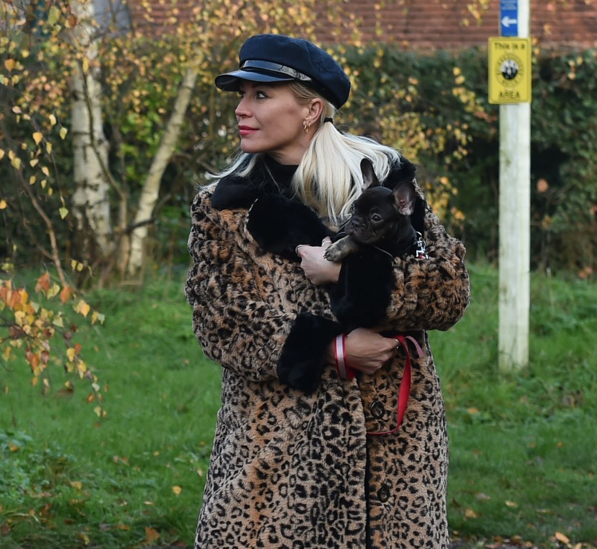 DENISE VAN OUTEN Out with Her Fogs in Essex 11/29/2020 – HawtCelebs