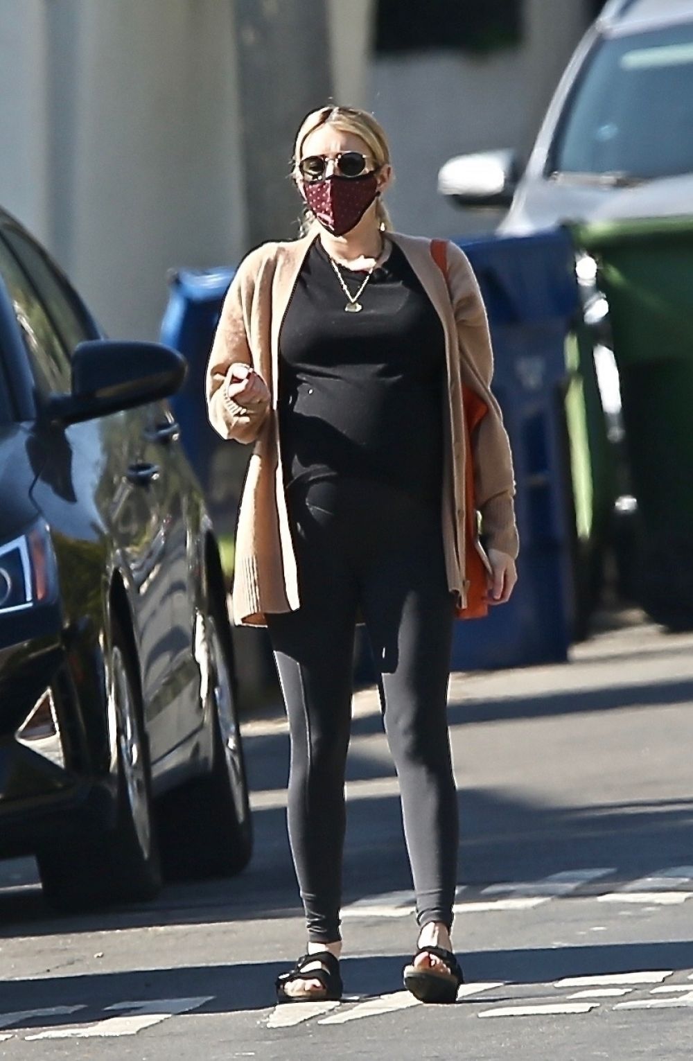 pregnant-emma-roberts-out-shopping-in-los-angeles-11-19-2020-4.jpg