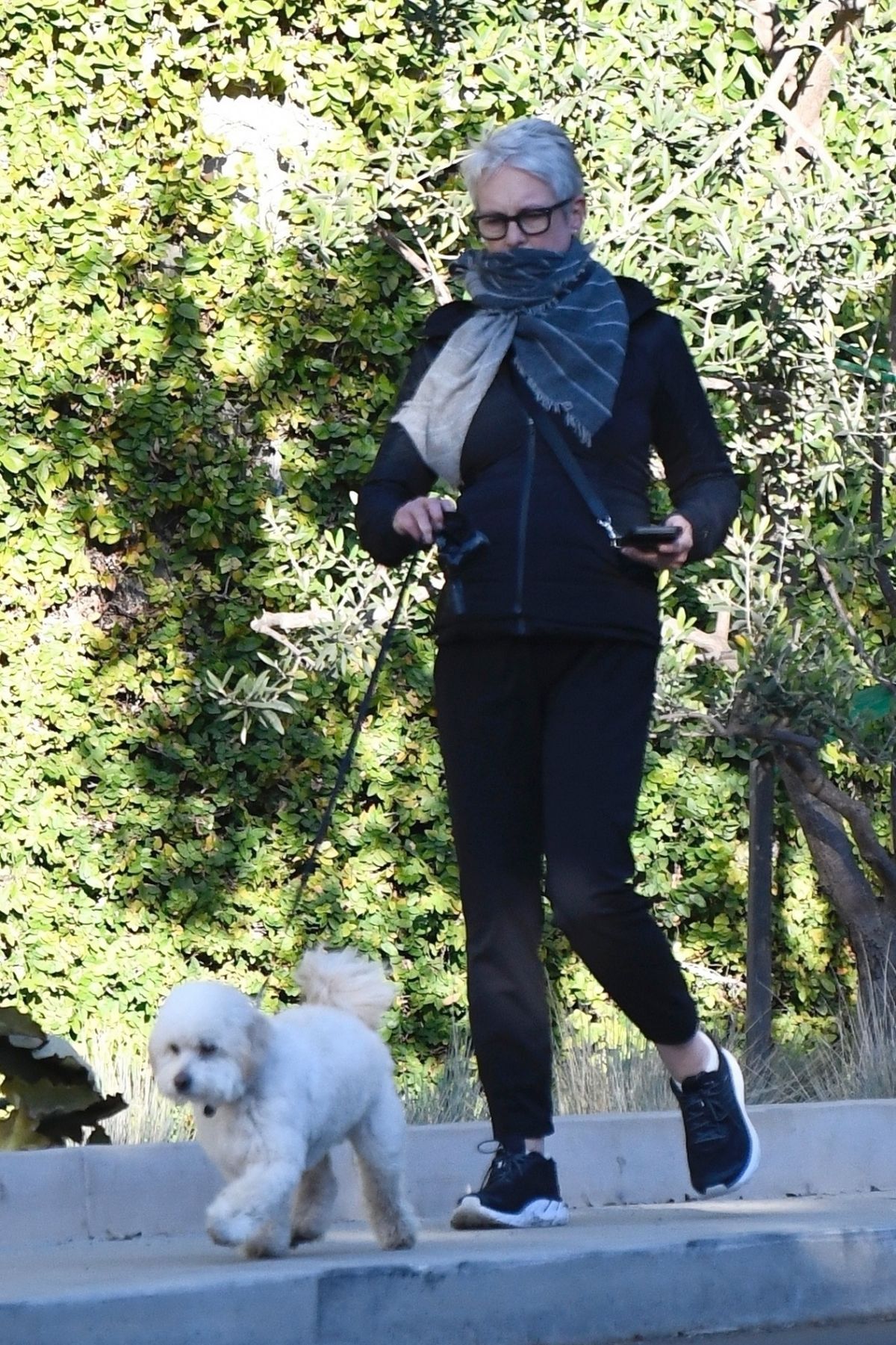 jamie-lee-curtis-out-with-her-dog-in-los-angeles-12-19-2020-1.jpg