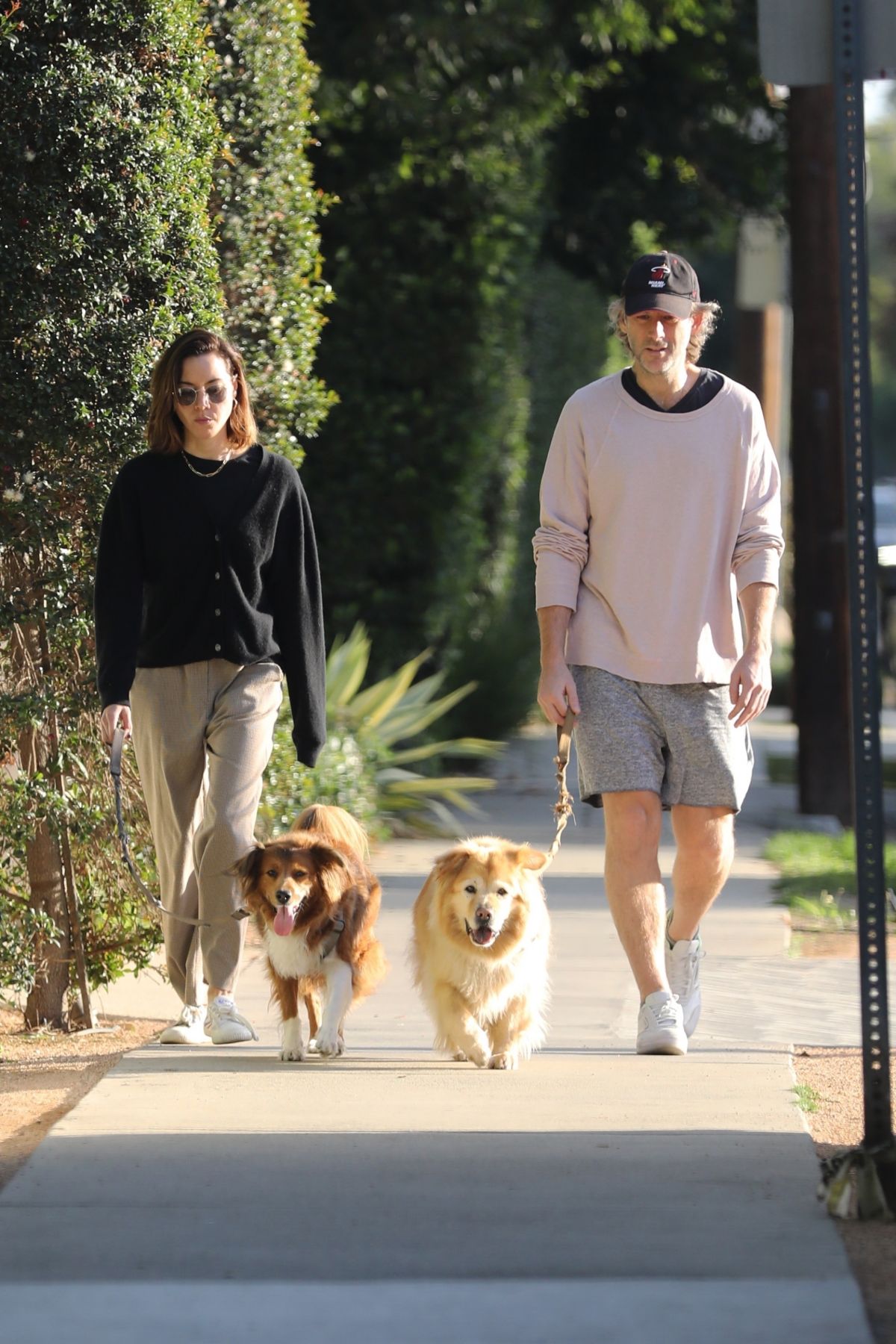 AUBREY PLAZA and Jeff Baena Out with Their Dogs in Los Angeles 10/22 ...