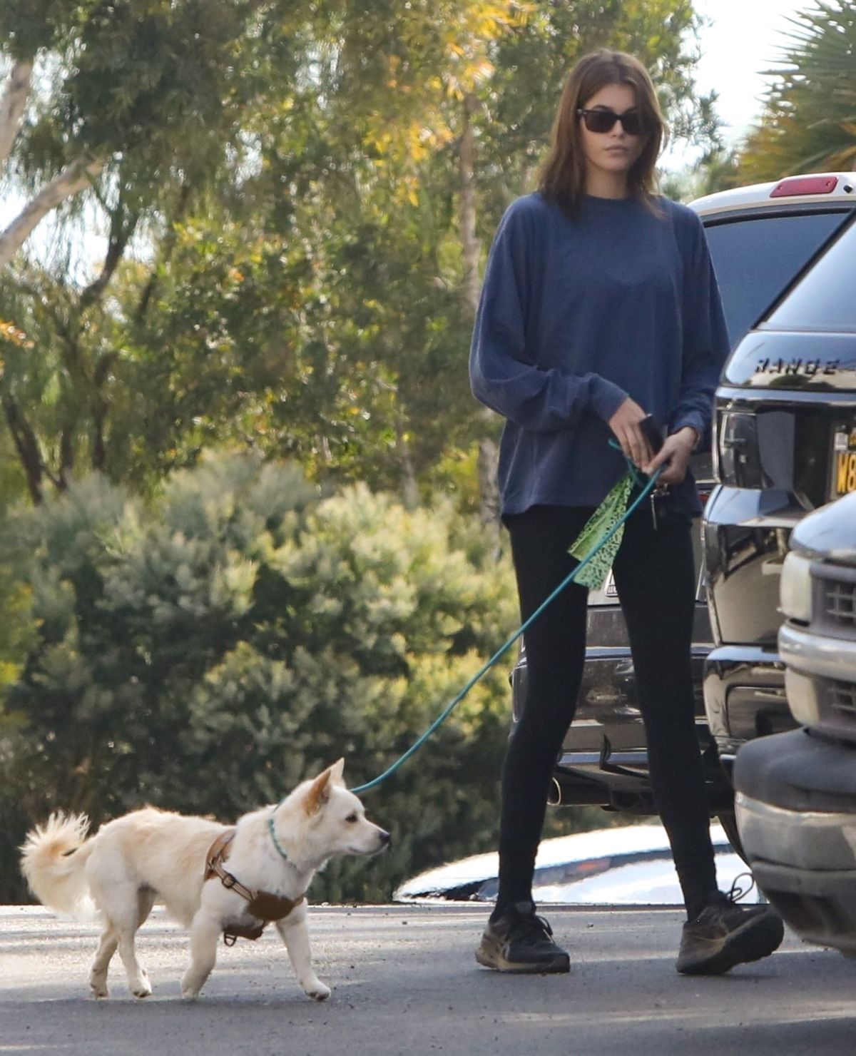 KAIA GERBER Out with Her Dog at Point Dume Village in Malibu 10/24/2021 ...