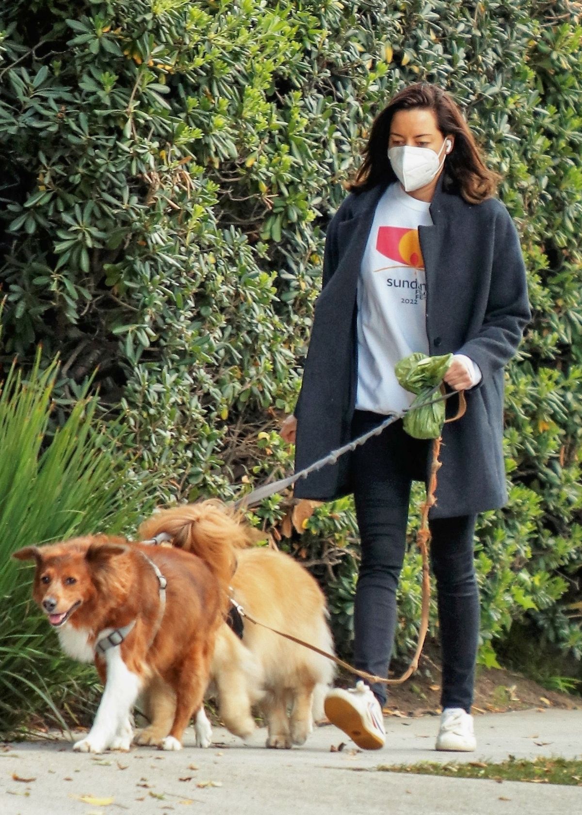 aubrey plaza wears a black tee and jeans while walking her dogs at a park  in los angeles-221022_8