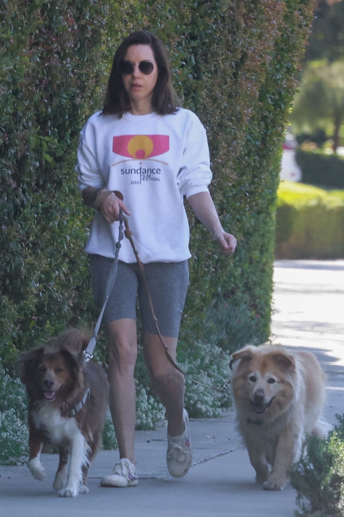 Aubrey Plaza Picks Up Her Dog From the Groomers in Los Feliz: Photo 4877542, Aubrey Plaza Photos