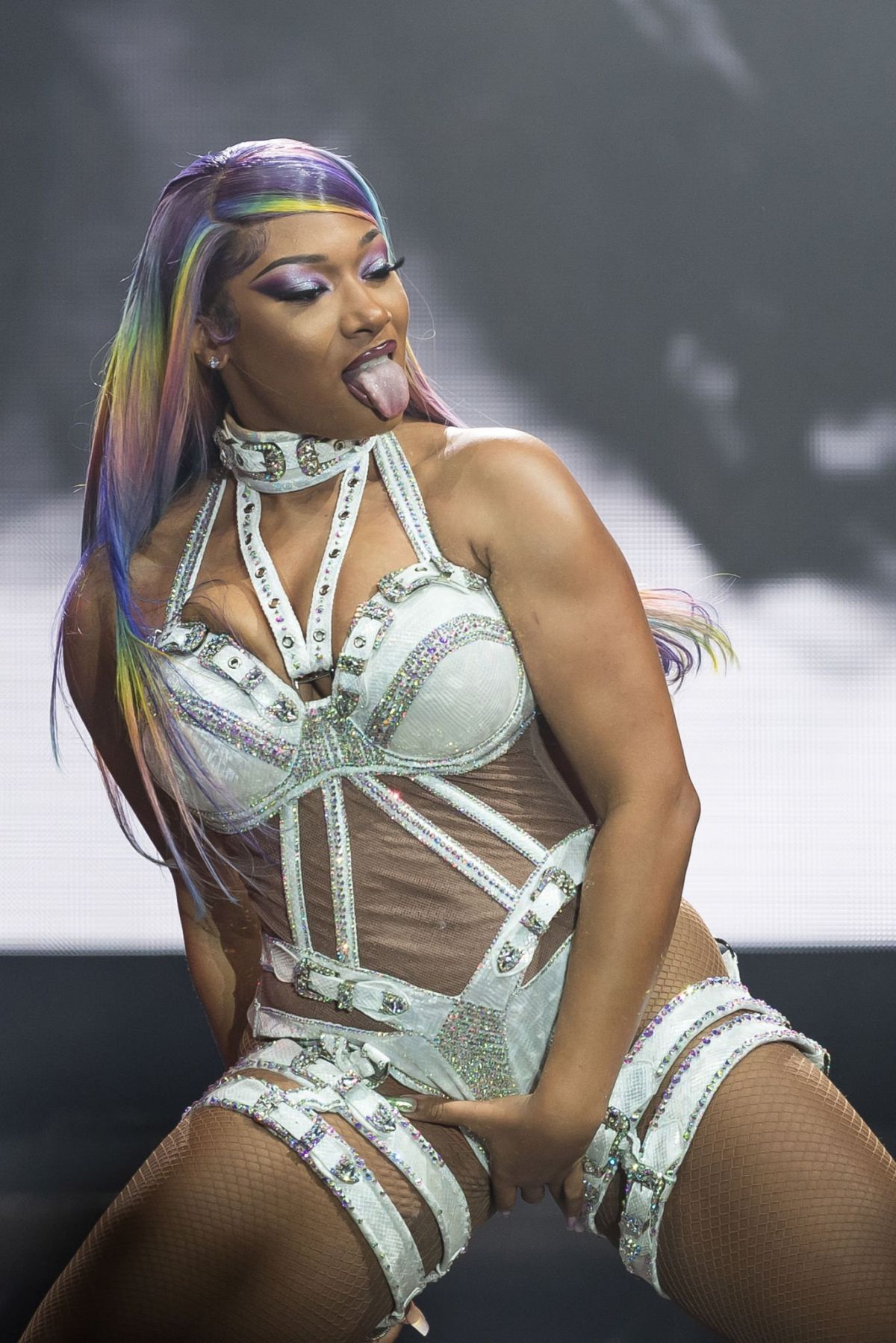 Megan the Stallion deep cameltoe : r/HipHopCameltoes