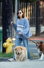 AUBREY PLAZA Out with Her Dogs in Los Feliz 02/12/2022 – HawtCelebs