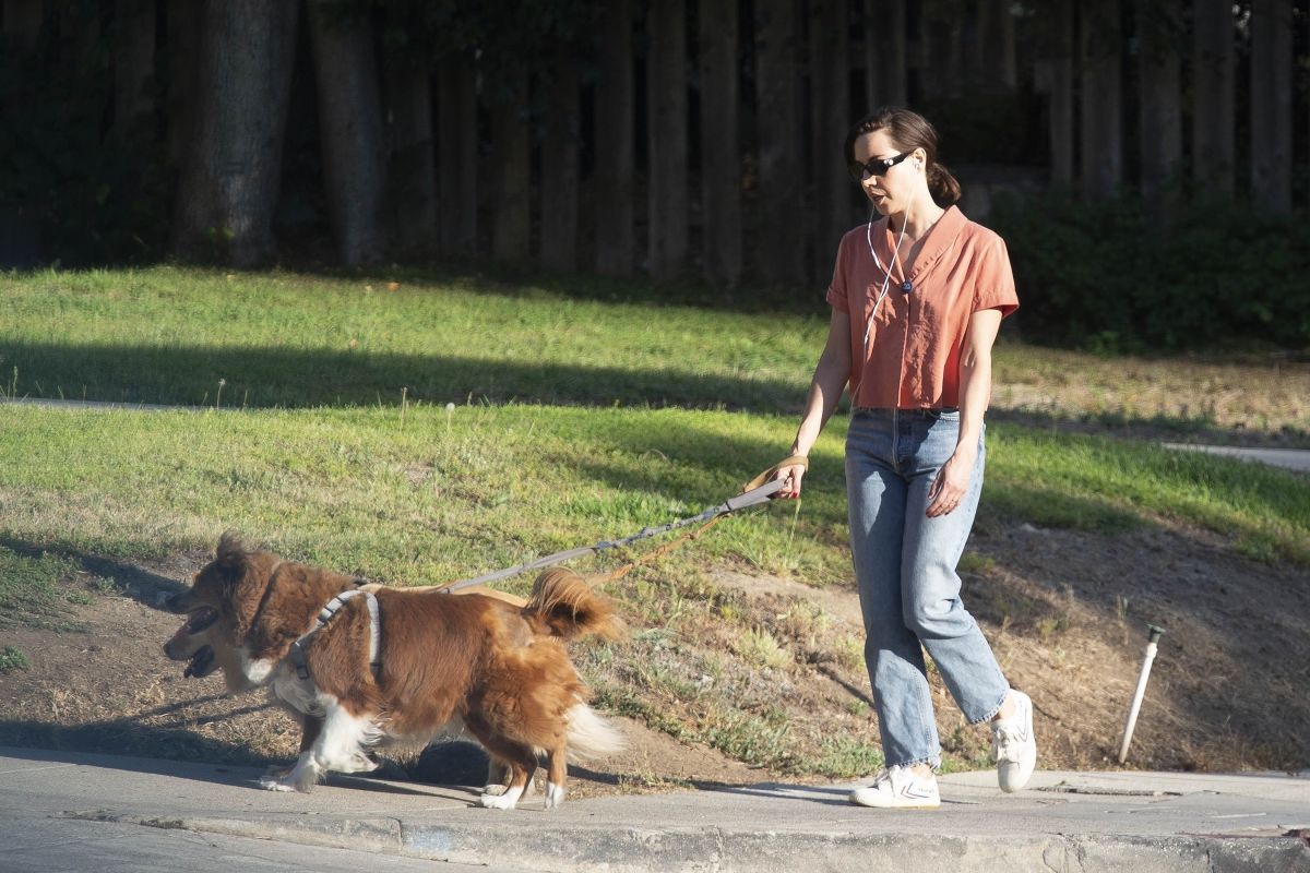 AUBREY PLAZA Out with Her Dogs in Los Feliz 02/12/2022 – HawtCelebs