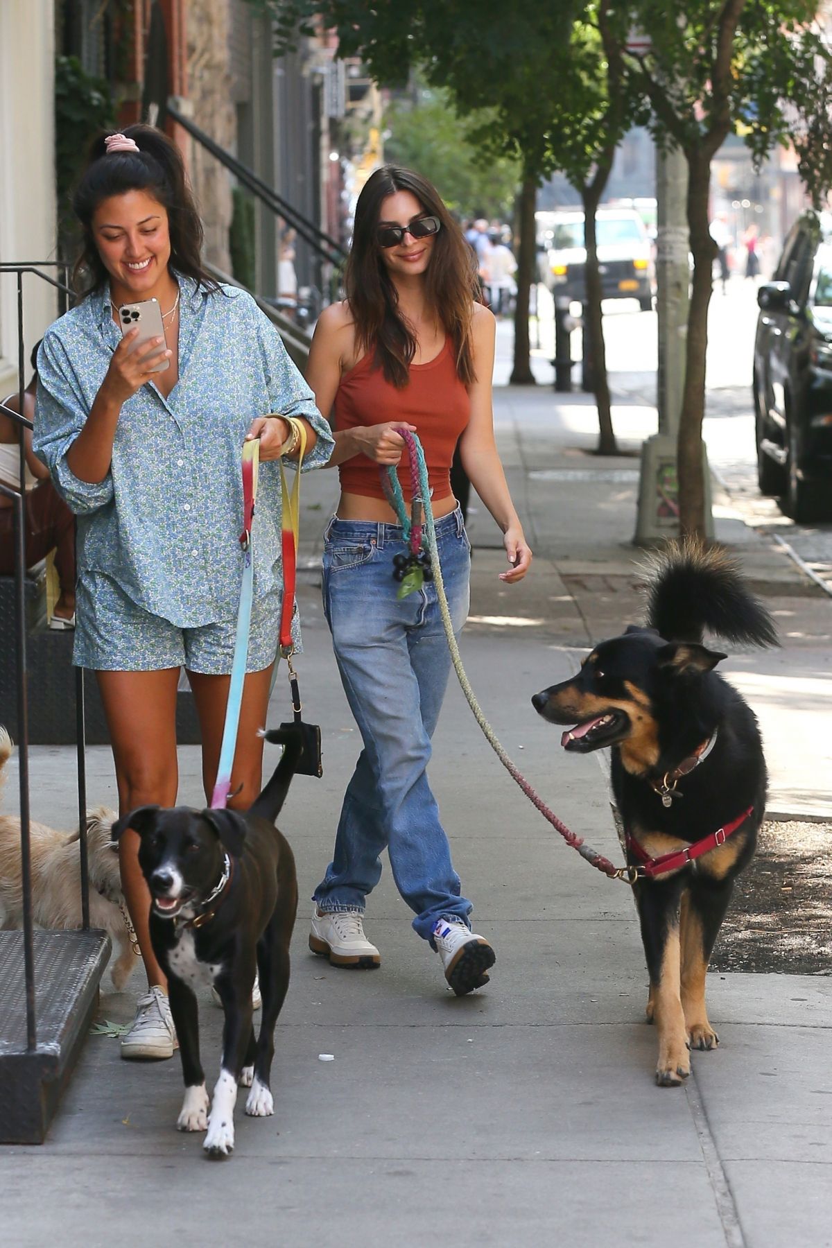 EMILY RATAJKOWSKI Out with Her Dog Colombo in New York 08/08/2022 ...